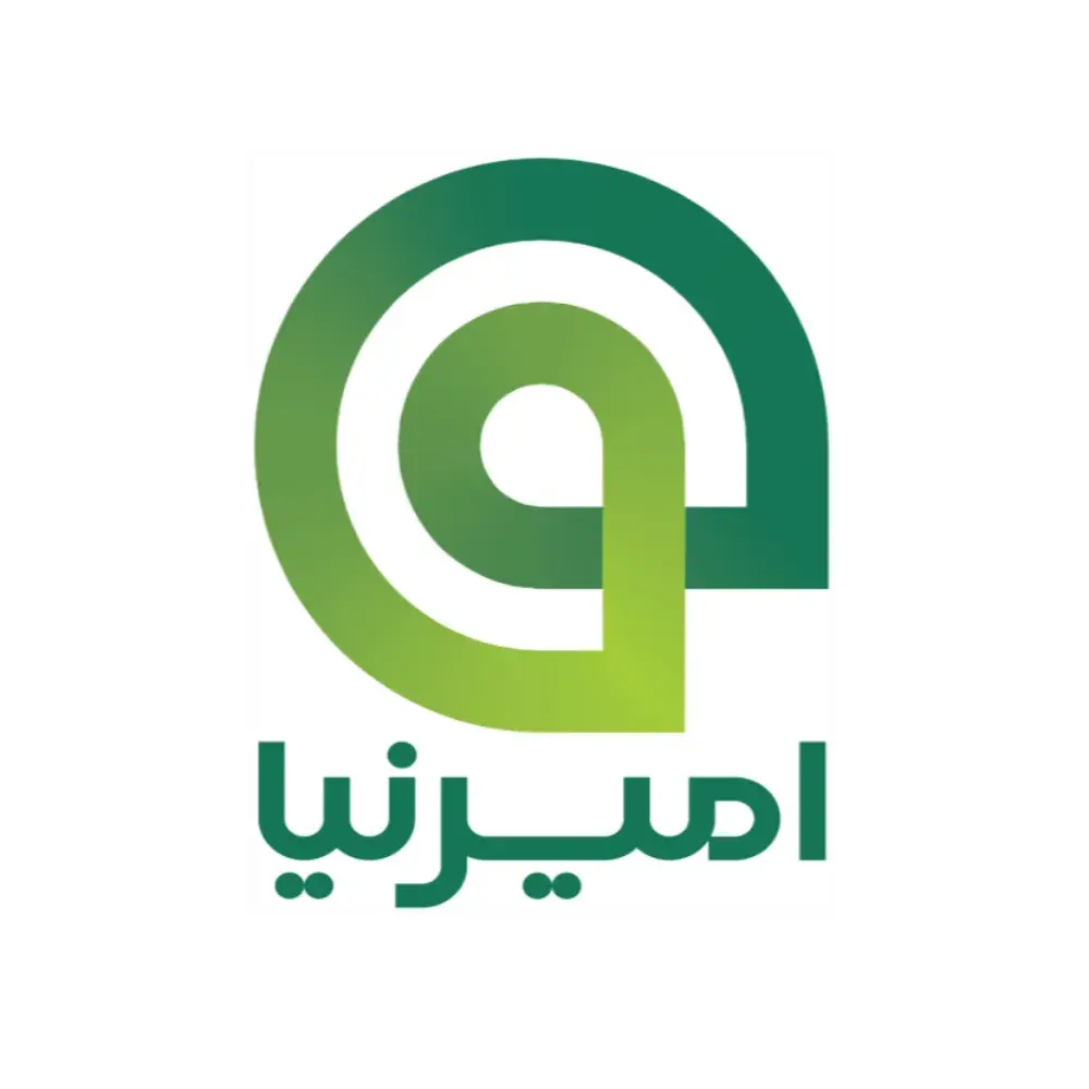 امیرنیا